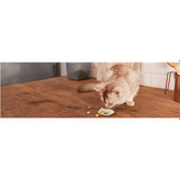 قرص مکمل بچه گربه جیم کت طعم شیر 40 گرم