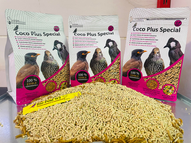 دان کوکو پلاس مرغ مینا و سار و بلبل خرما 1 کیلوگرم