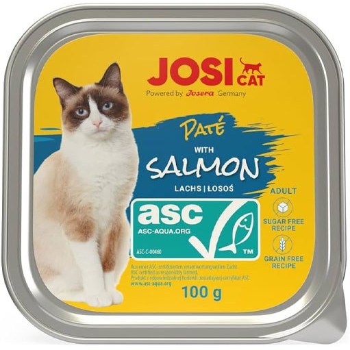 ووم گربه جوسی کت طعم ماهی سالمون وزن 100 گرم